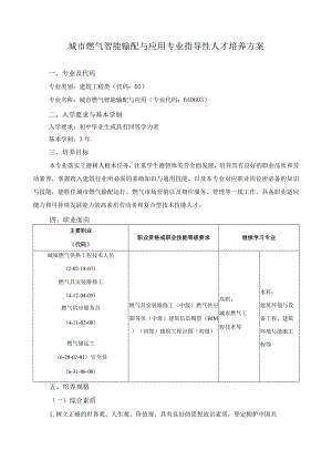 城市燃气智能输配与应用专业指导性人才培养方案.docx