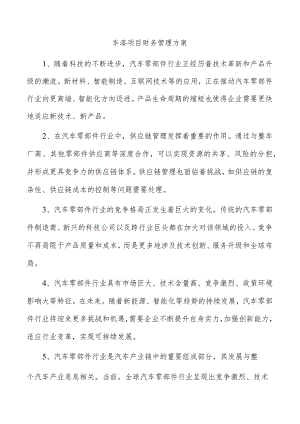 车漆项目财务管理方案.docx