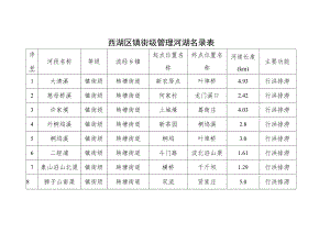 西湖区镇街级管理河湖名录表.docx