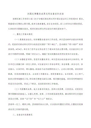 问题反馈整改成果运用自查自纠总结.docx