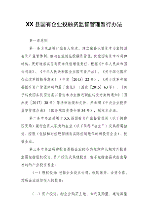 XX县国有企业投融资监督管理暂行办法.docx