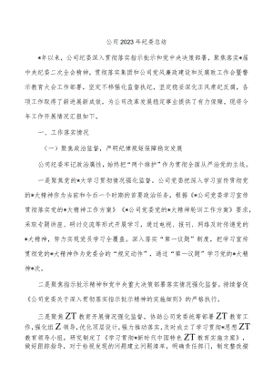 公司2023年纪委总结.docx