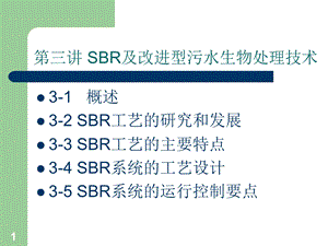 第3讲SBR工艺.ppt