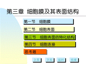 第3章细胞膜及表面结构多媒体.ppt