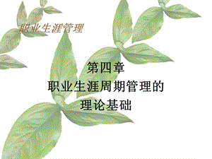 第4章职业生涯周期管理的理论基础.ppt