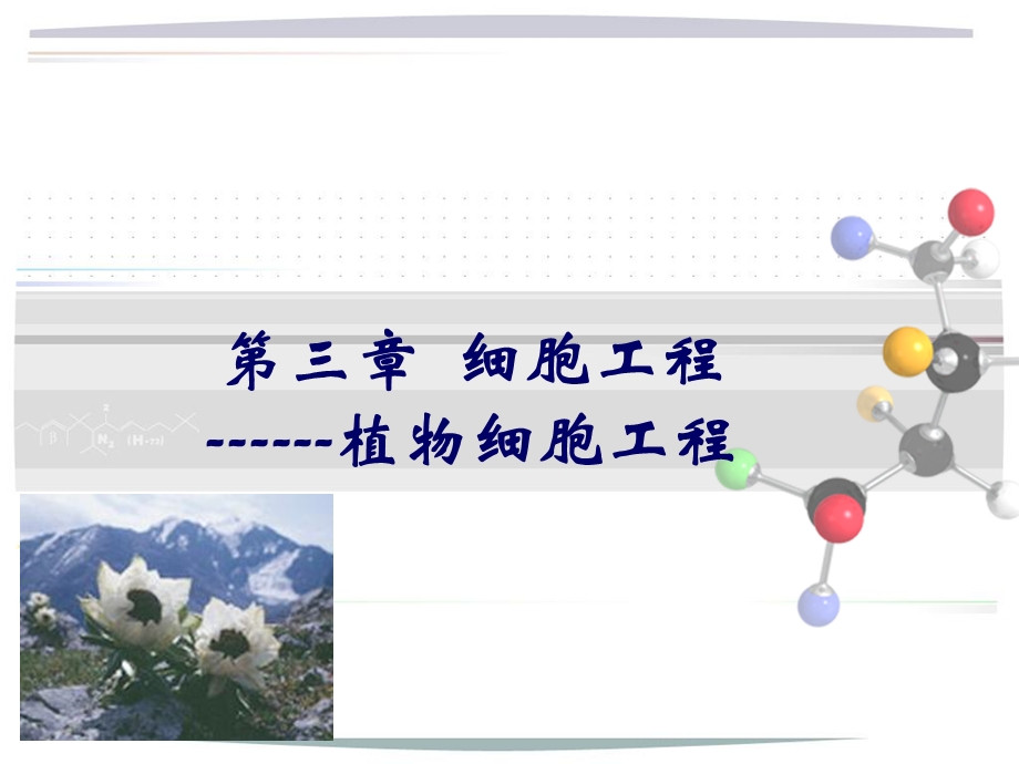 第3章细胞工程1植物细胞.ppt_第1页