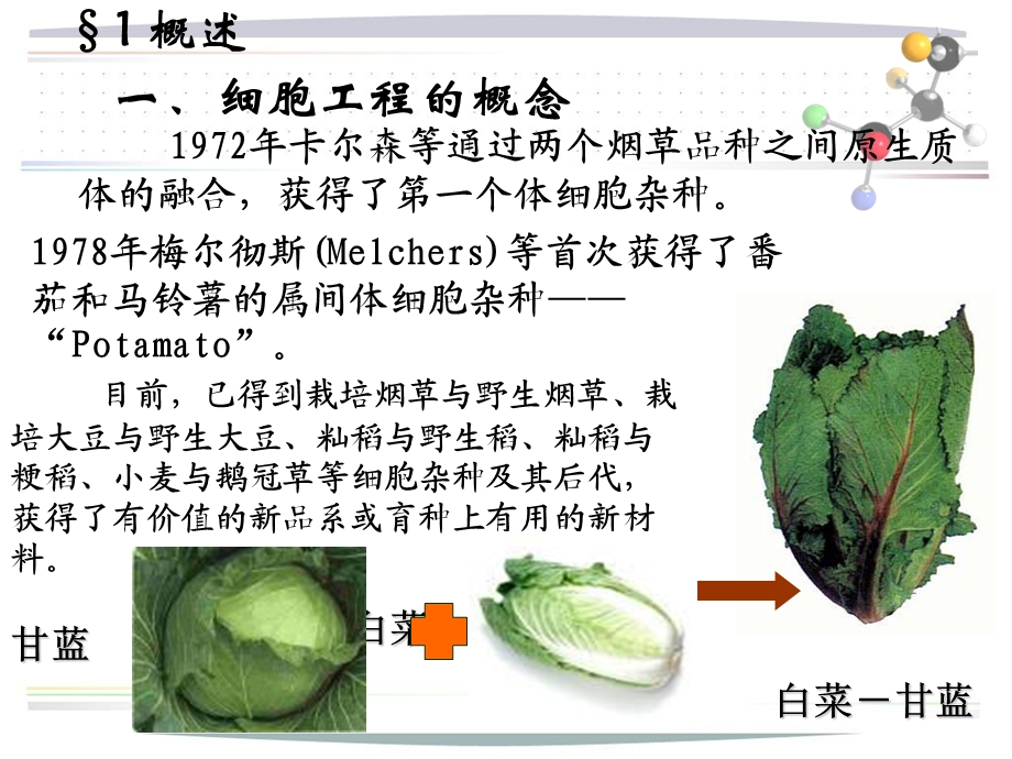 第3章细胞工程1植物细胞.ppt_第3页