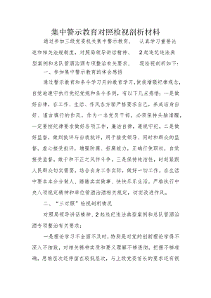 集中警示教育对照检视剖析材料2.docx