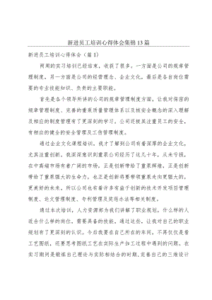 新进员工培训心得体会集锦13篇.docx