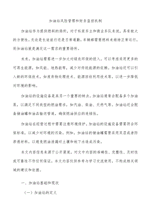 加油站风险管理和财务监控机制.docx