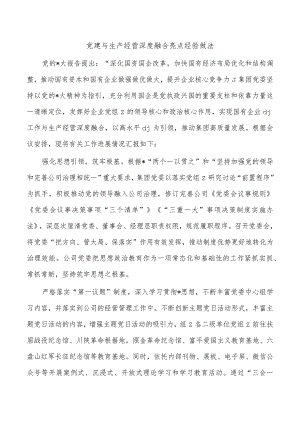 党建与生产经营深度融合亮点经验做法.docx