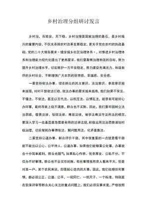 乡村治理分组研讨发言.docx