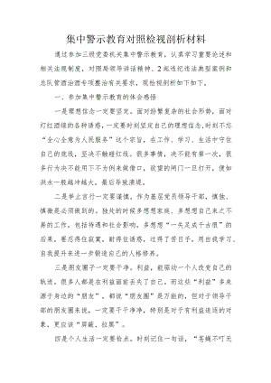 集中警示教育对照检视剖析材料.docx