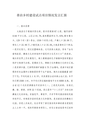 善治乡村建设试点项目情况发言汇报.docx