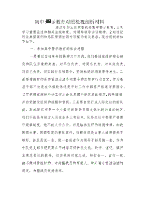 集中警示教育对照检视剖析材料4.docx