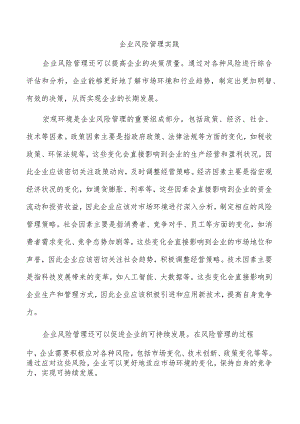 企业风险管理实践.docx