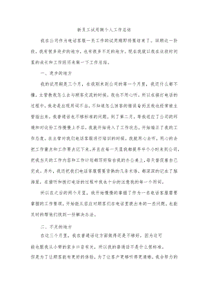 家电销售新员工试用期个人工作总结.docx