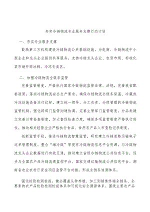 夯实冷链物流专业服务支撑行动计划.docx