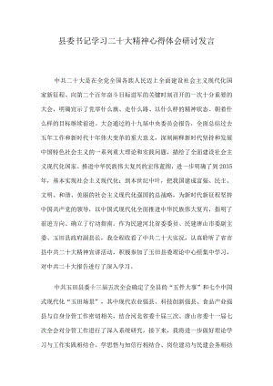 县委书记学习二十大精神心得体会研讨发言.docx