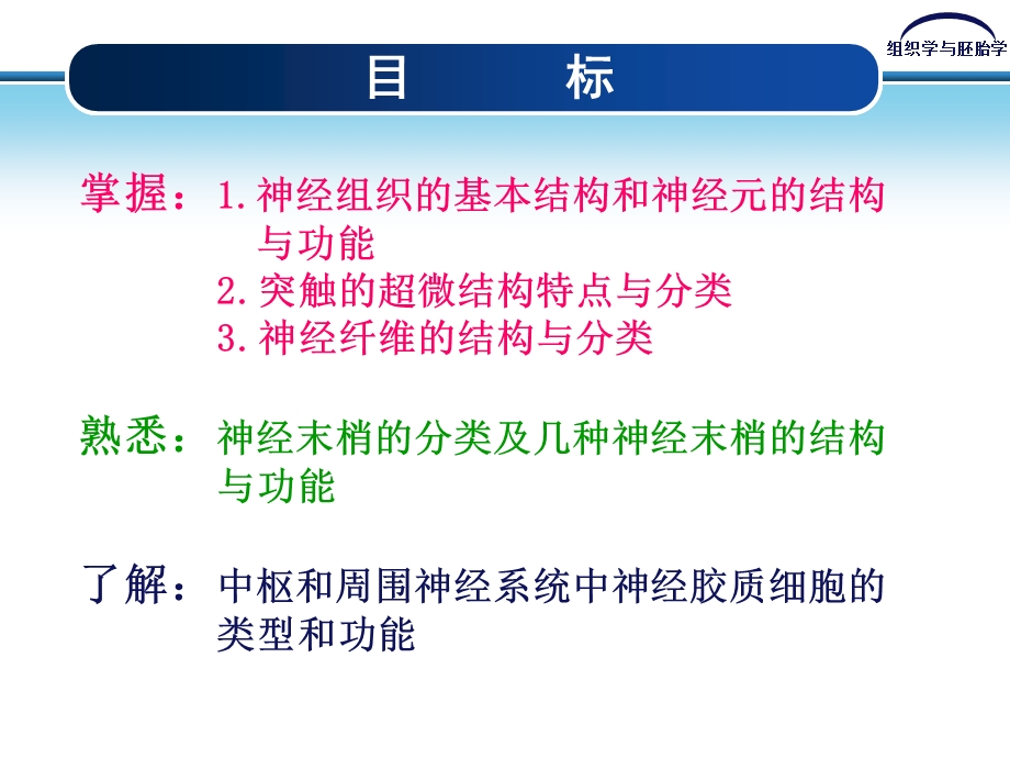 第7章 神经组织.ppt_第3页