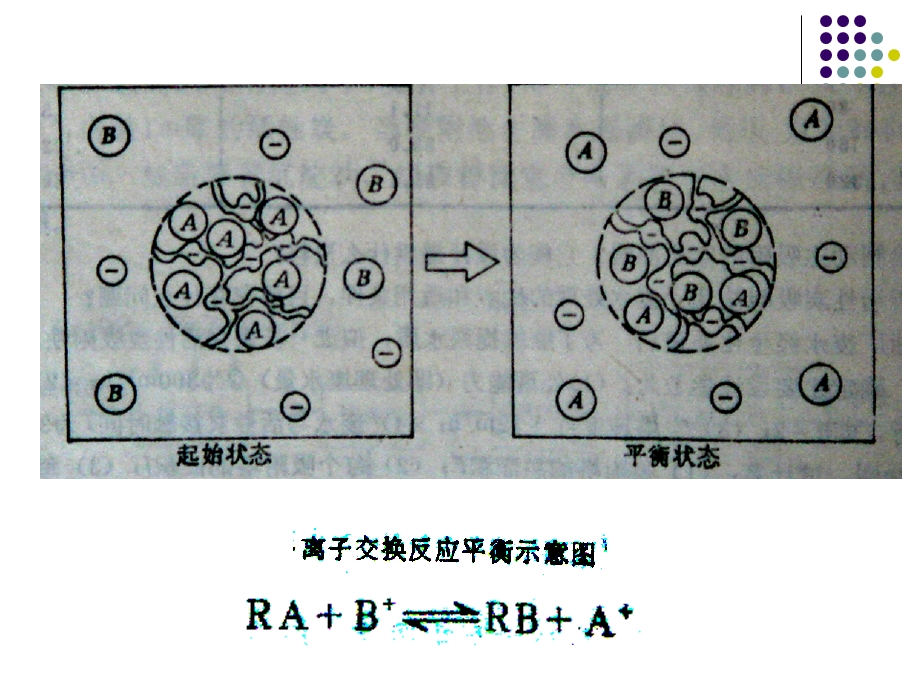 第8章3离子交换.ppt_第3页