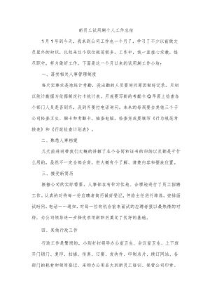 手机促销员新员工试用期个人工作总结.docx