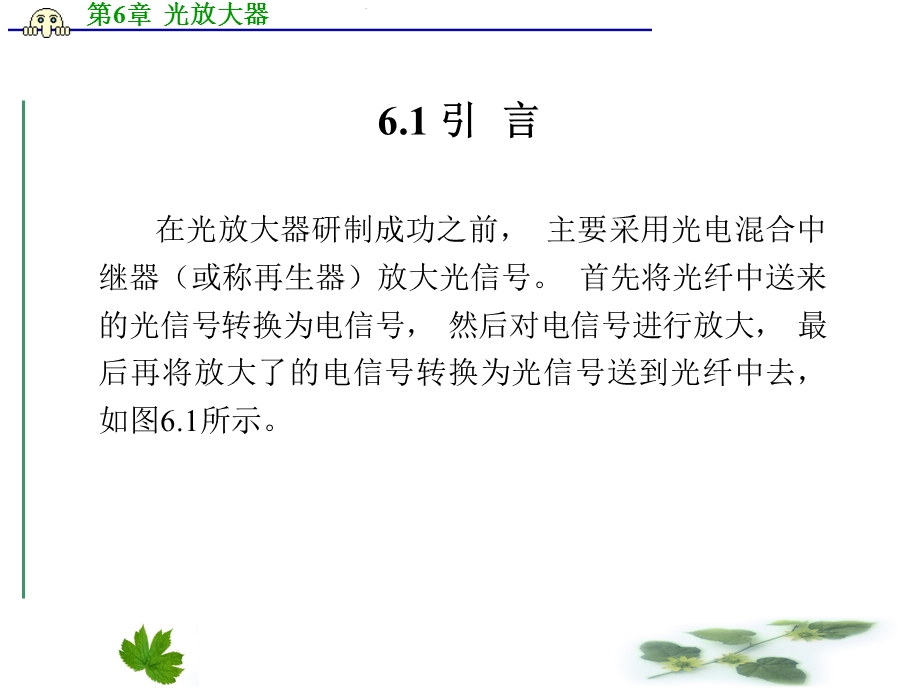 第6章光放大器.ppt_第3页