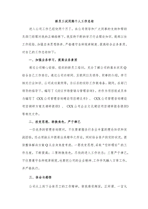 市场营销新员工试用期个人工作总结.docx