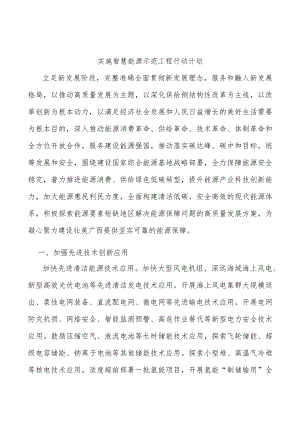 实施智慧能源示范工程行动计划.docx