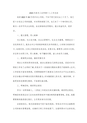 手机销售新员工试用期个人工作总结.docx