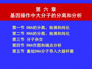 第6章基因操作中大分子的分离和分析.ppt