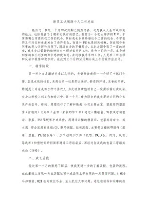 销售员新员工试用期个人工作总结.docx