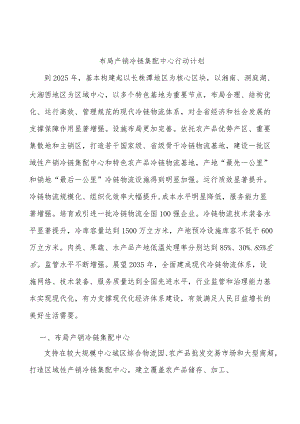 布局产销冷链集配中心行动计划.docx