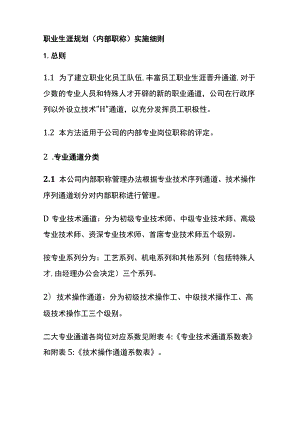 职业生涯规划（内部职称）实施细则.docx