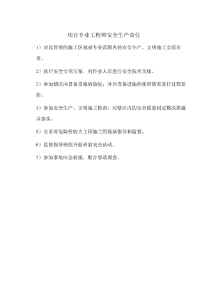 项目专业工程师安全生产责任.docx