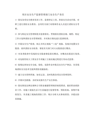 项目安全生产监督管理部门安全生产责任.docx