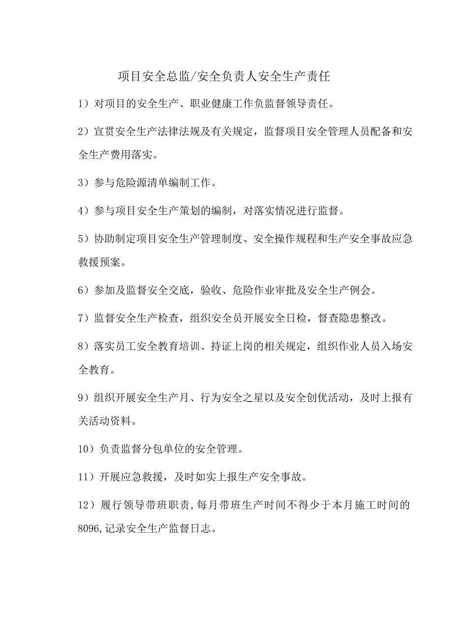 项目安全总监 安全负责人安全生产责任.docx_第1页