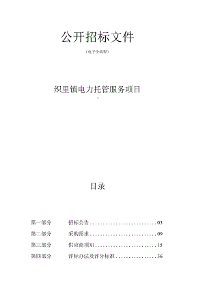 电力托管服务项目招标文件.docx