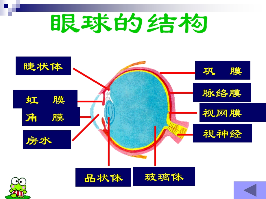 青少近视眼的防治.ppt_第2页