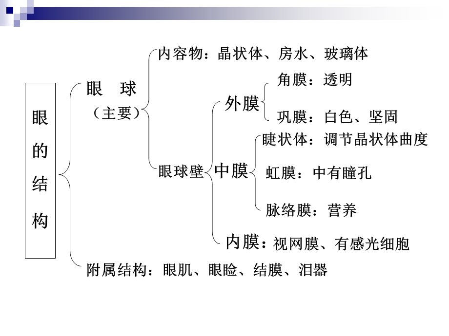 青少近视眼的防治.ppt_第3页