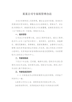 某某公司专家组管理办法.docx