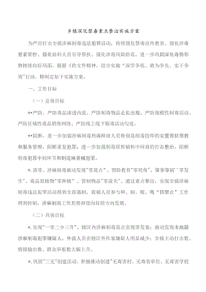 乡镇深化禁毒重点整治实施方案.docx