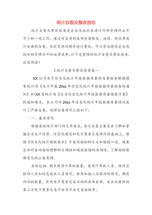 统计自查及整改报告.docx