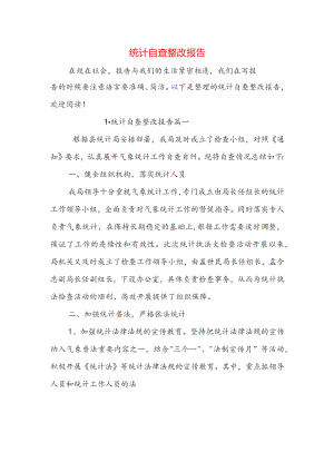 统计自查整改报告.docx