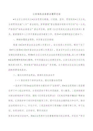 公安谁执法谁普法履职总结.docx