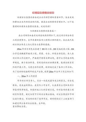 经理层自查整改报告.docx