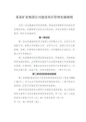 某某矿业集团公司建设项目管理实施细则.docx