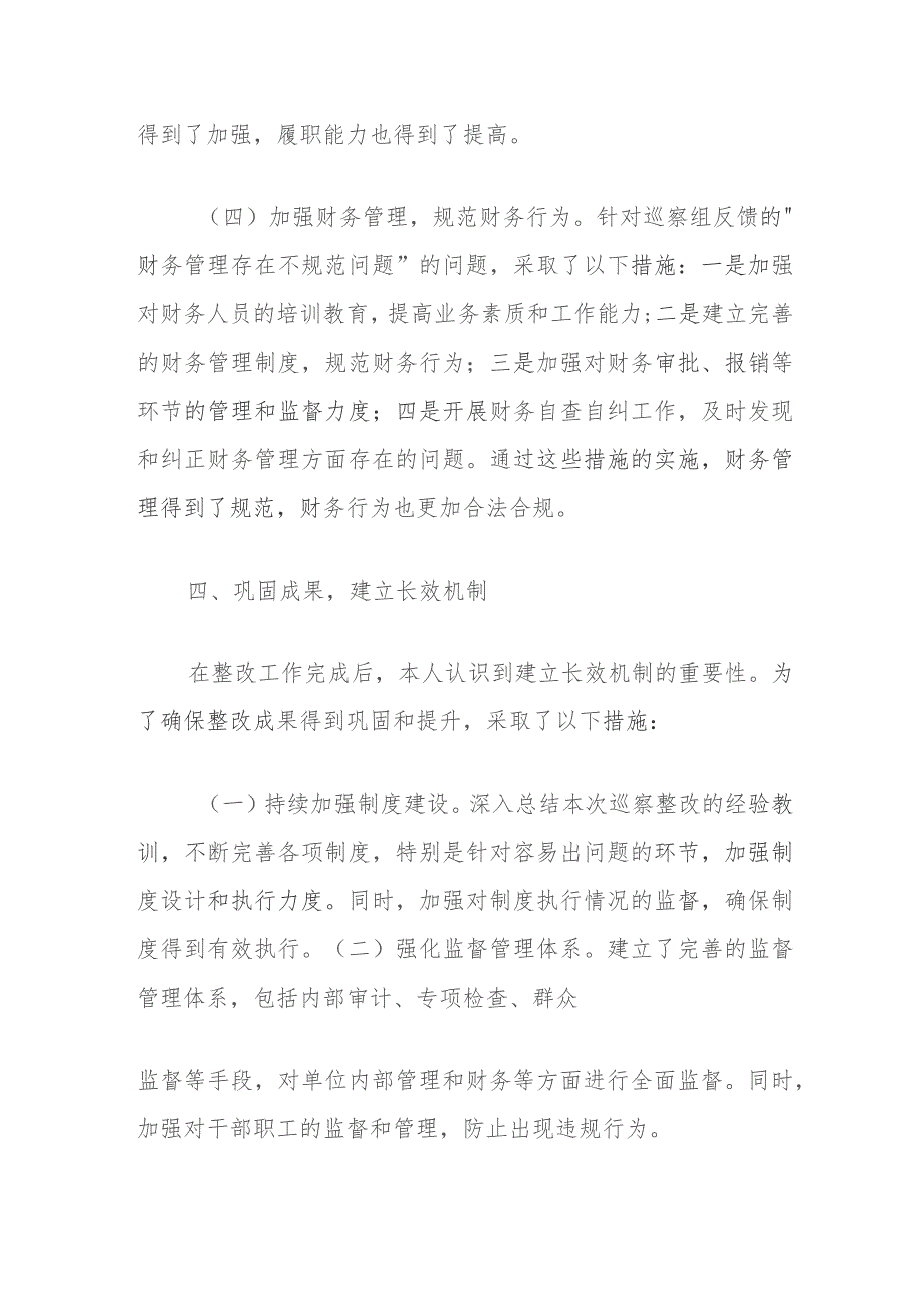 巡察整改工作主要负责人组织落实情况报告.docx_第3页