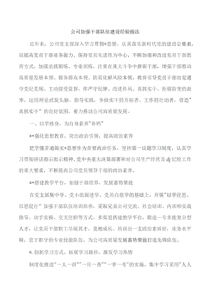 公司加强干部队伍建设经验做法.docx