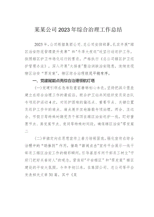 某某公司2023年综合治理工作总结.docx